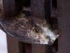 Troglodyte_Serie1_albumLises_C-JosephRonzier-07